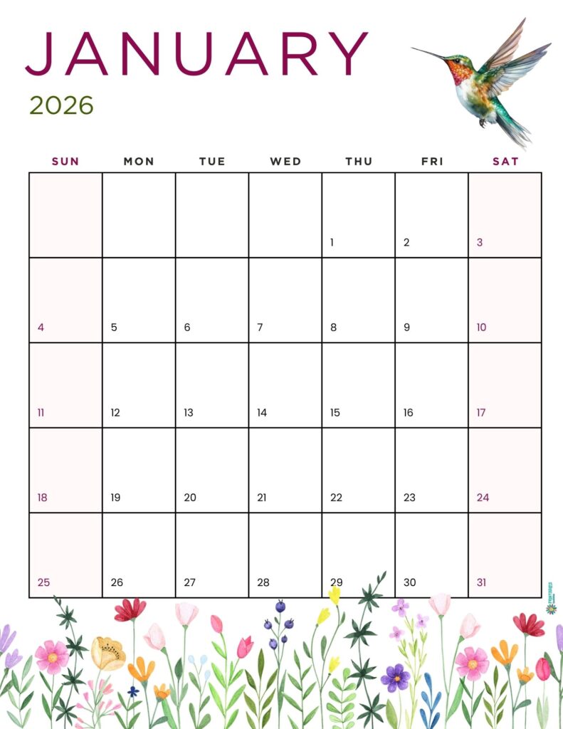 January 2026 calendar with a watercolor hummingbird and wildflowers, Sunday start