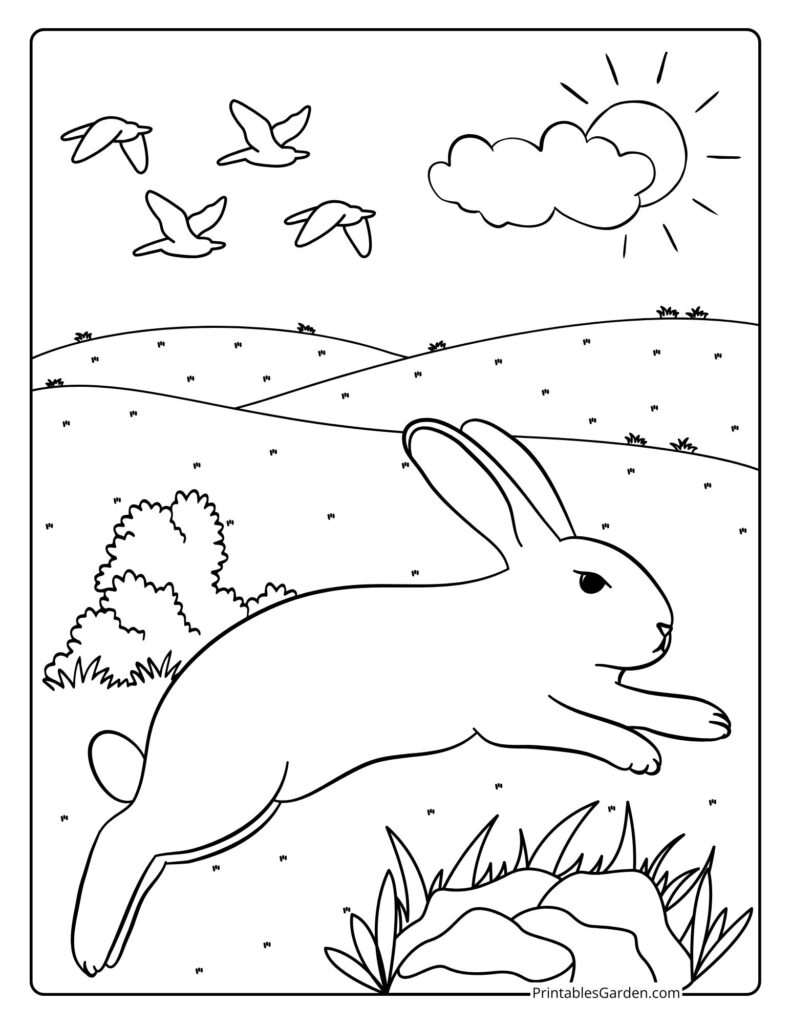 Rabbit coloring pages printable PDF | Printables Garden